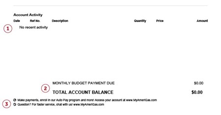 AmeriGas Budget Pay Invoice - Account Activity Example