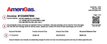 AmeriGas Standard Invoice - Invoice Reference Information Example