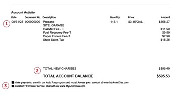 AmeriGas Standard Invoice - Account Activity Example